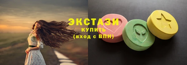 соль ск Новозыбков