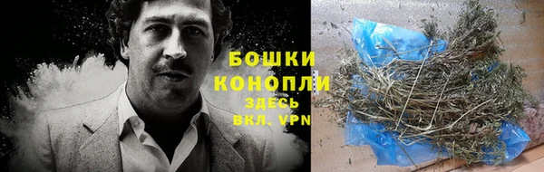 соль ск Новозыбков