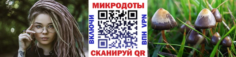 Галлюциногенные грибы Cubensis  Набережные Челны 
