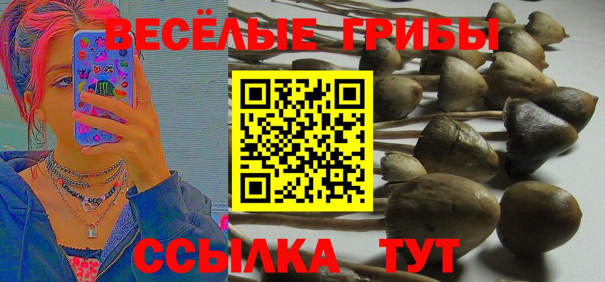 Псилоцибиновые грибы MAGIC MUSHROOMS Набережные Челны